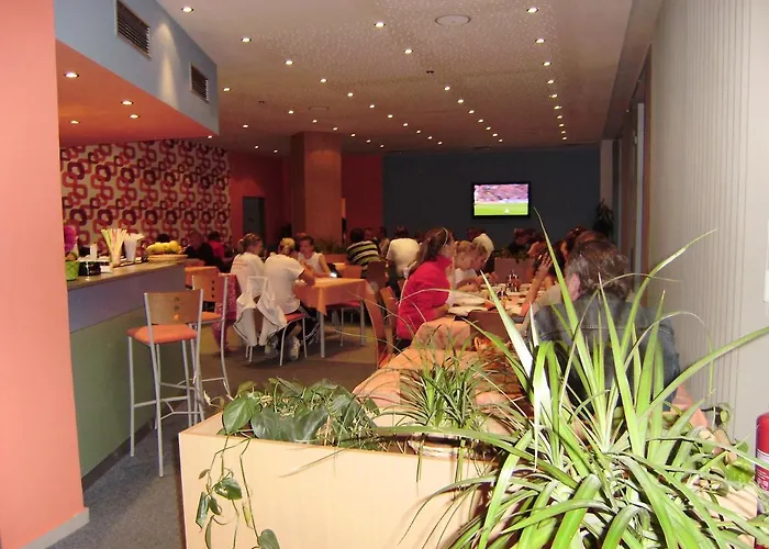 מלון Sport Ticha Orlice 3*